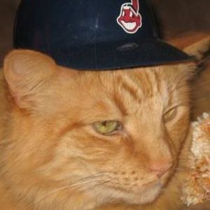 Meet your Posher, Andy